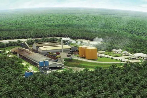 Eagle High (BWPT) Alokasikan Capex Rp300 Miliar hingga 2030
