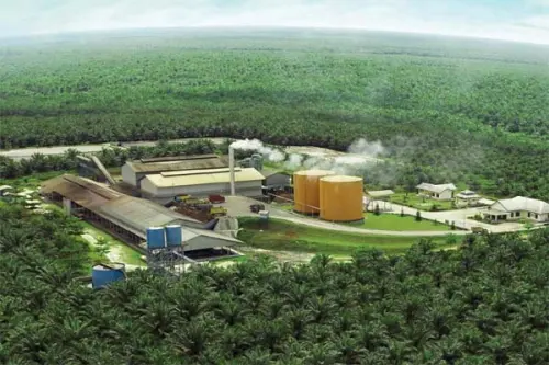 Eagle High (BWPT) Alokasikan Capex Rp300 Miliar hingga 2030