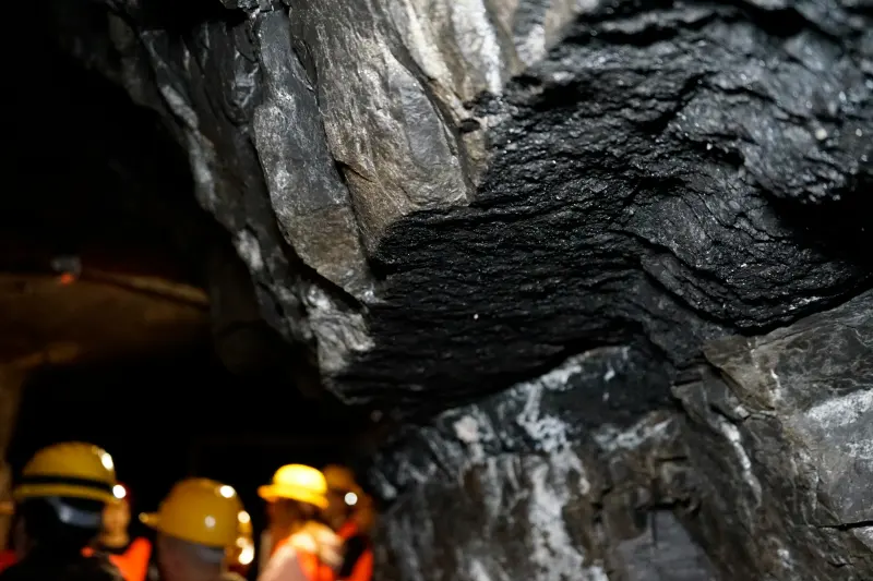 Kepala Bursa Mineral OJK: RI Harus Lepas dari Bayang-Bayang Harga Nikel Asing