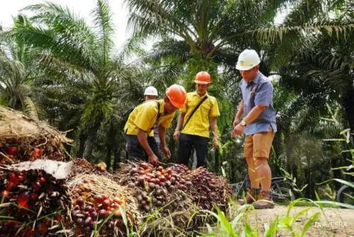 Genap 43 Tahun, CSRA Cetak Rekor Penjualan Rp2,07 Triliun di Q3