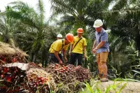 Genap 43 Tahun, CSRA Cetak Rekor Penjualan Rp2,07 Triliun di Q3