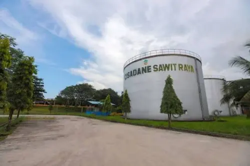 Kinerja Membaik, Cisadane Sawit (CSRA) Tebar Dividen Interim Rp15 per Saham