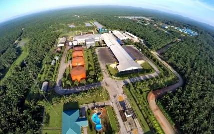 Tingkatkan Kinerja Produktivitas dan Infrastruktur, Emiten SSMS Siapkan Belanja Modal Rp 700 M