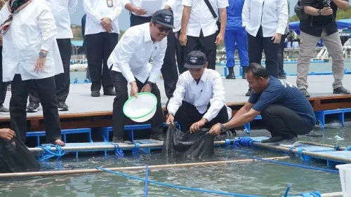 KKP Genjot Budidaya Perikanan untuk Penuhi Kebutuhan Ramadan dan Lebaran