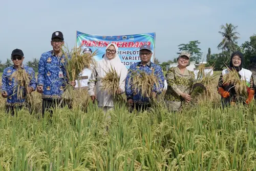 Dukung Ketahanan Pangan, SIG Gandeng Pemkab Cilacap Wujudkan Pertanian Tangguh