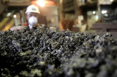 APNI Dorong Pemerintah Evaluasi Ulang Implementasi Royalti Baru untuk Minerba