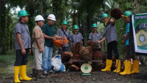 Dorong Bisnis Berkelanjutan, AALI Perkuat Komitmen ESG