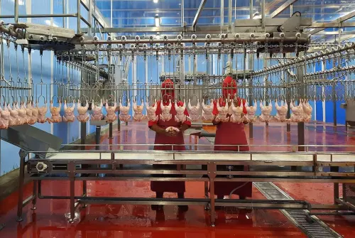 Terus Alami Kerugian, Emiten WICO Akhiri Operasional Consumer Goods