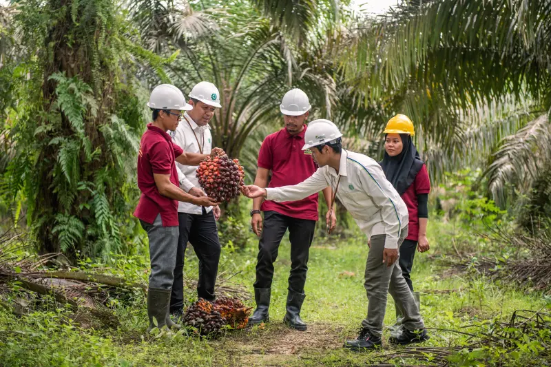 CBUT Perpanjang Fasilitas Kredit dengan BRI, Nilainya Capai US$115 Miliar