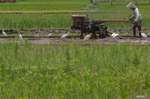 Dukung Ketahanan Pangan, Pemerintah Alokasikan KUR Pertanian Rp300 Triliun di 2026