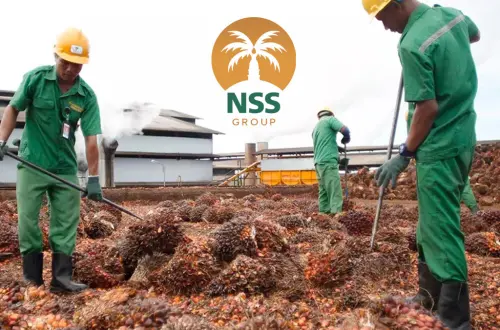 RUPSLB NSSS Setujui Perubahan Susunan Dewan Komisaris