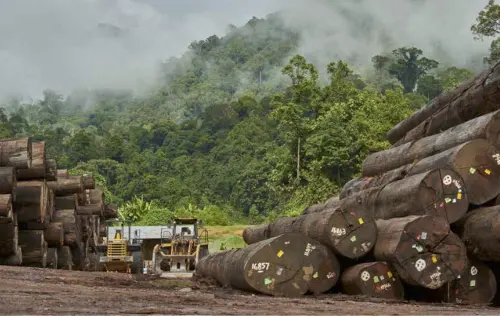 SULI Kantongi Pinjaman Rp25,8 Miliar dari Pemegang Saham, Untuk Apa?