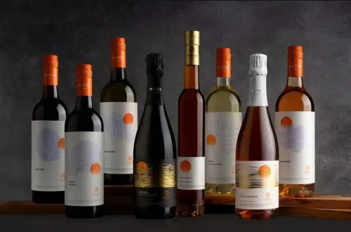 Dukung Modal Kerja Anak Usaha, WINE Agunkan Aset Rp1 Miliar ke BCA