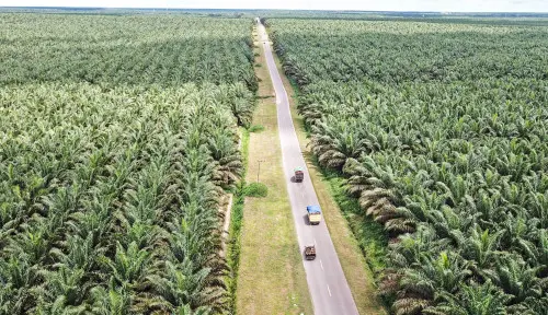 Caplok Mayoritas Saham, Investor Hong Kong Jadi Pengendali Pinago Utama (PNGO)