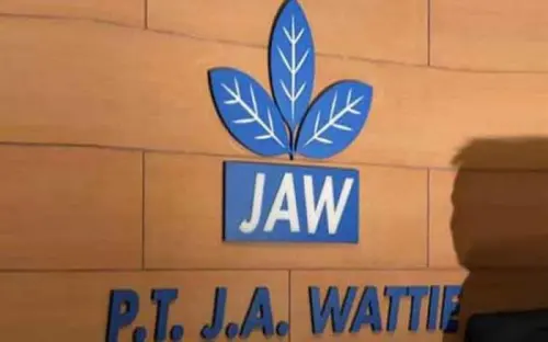 Emiten JAWA Alokasikan Capex Rp107 Miliar, Bidik Produksi CPO 99.236 Ton