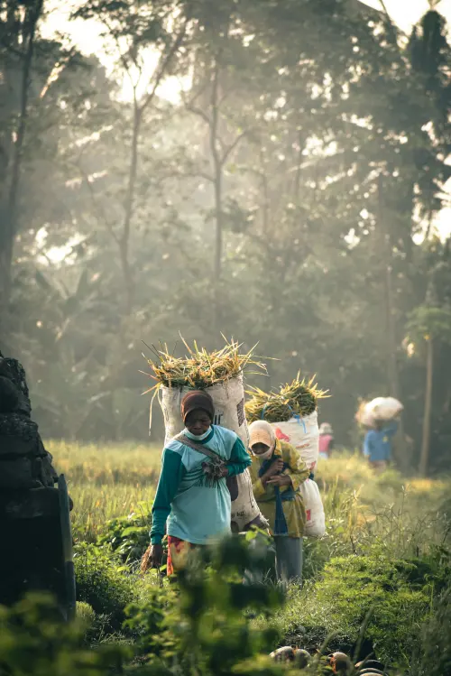 Pendapatan Daerah Melambat, Kemendagri Kucurkan Tambahan Transfer Rp18,9 Triliun