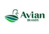 Anak Usaha Avian Tutup Operasional Secara Permanen