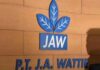 Emiten JAWA Alokasikan Capex Rp107 Miliar, Bidik Produksi CPO 99.236 Ton
